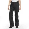 Bergsøya 3L Pants Wmn -Urberg urberg bergsoya 3l pants wmn black beauty